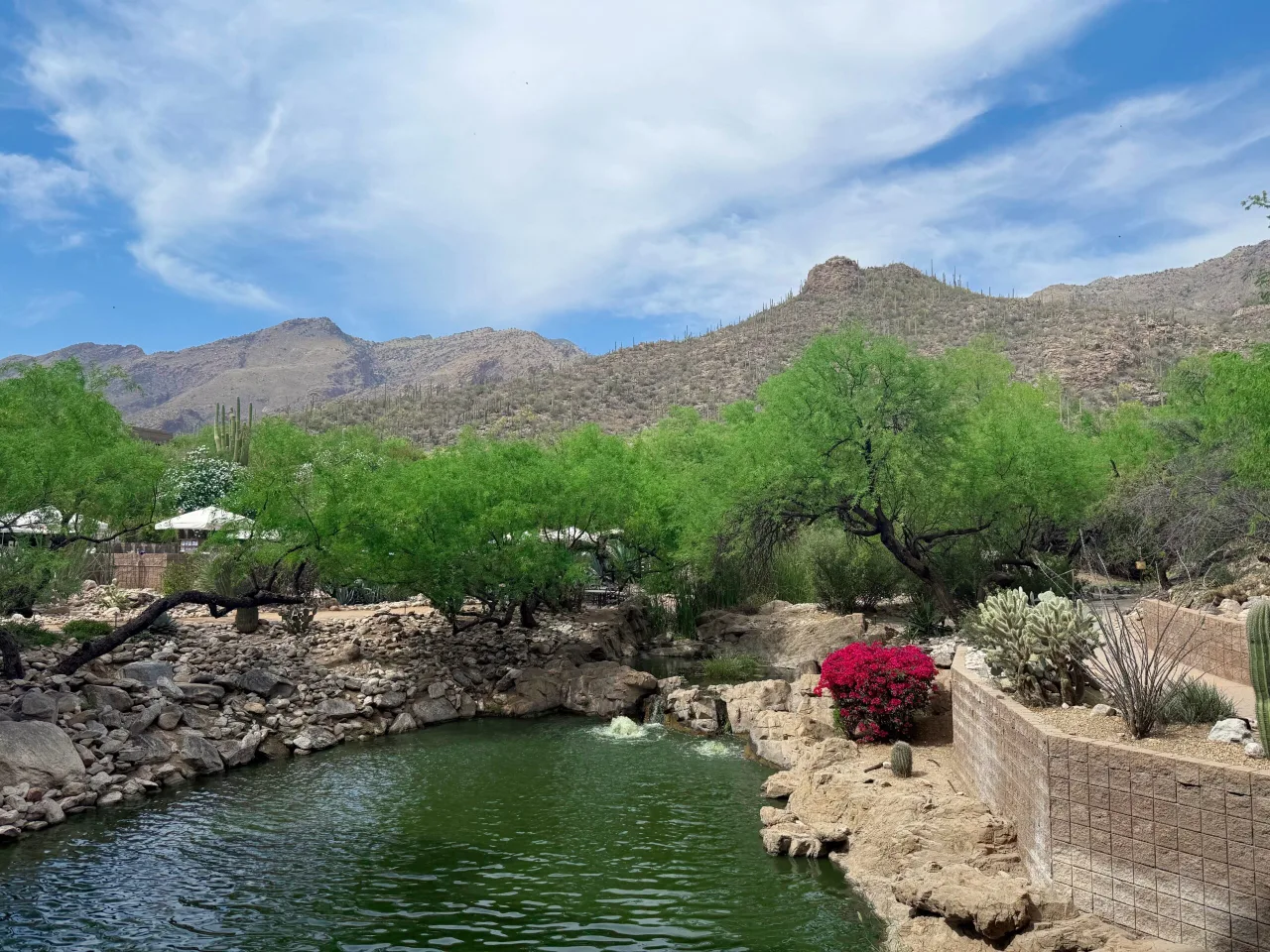 Dicas de Estilo de Vida e Bem-Estar: Rotina e Tendências Fitness