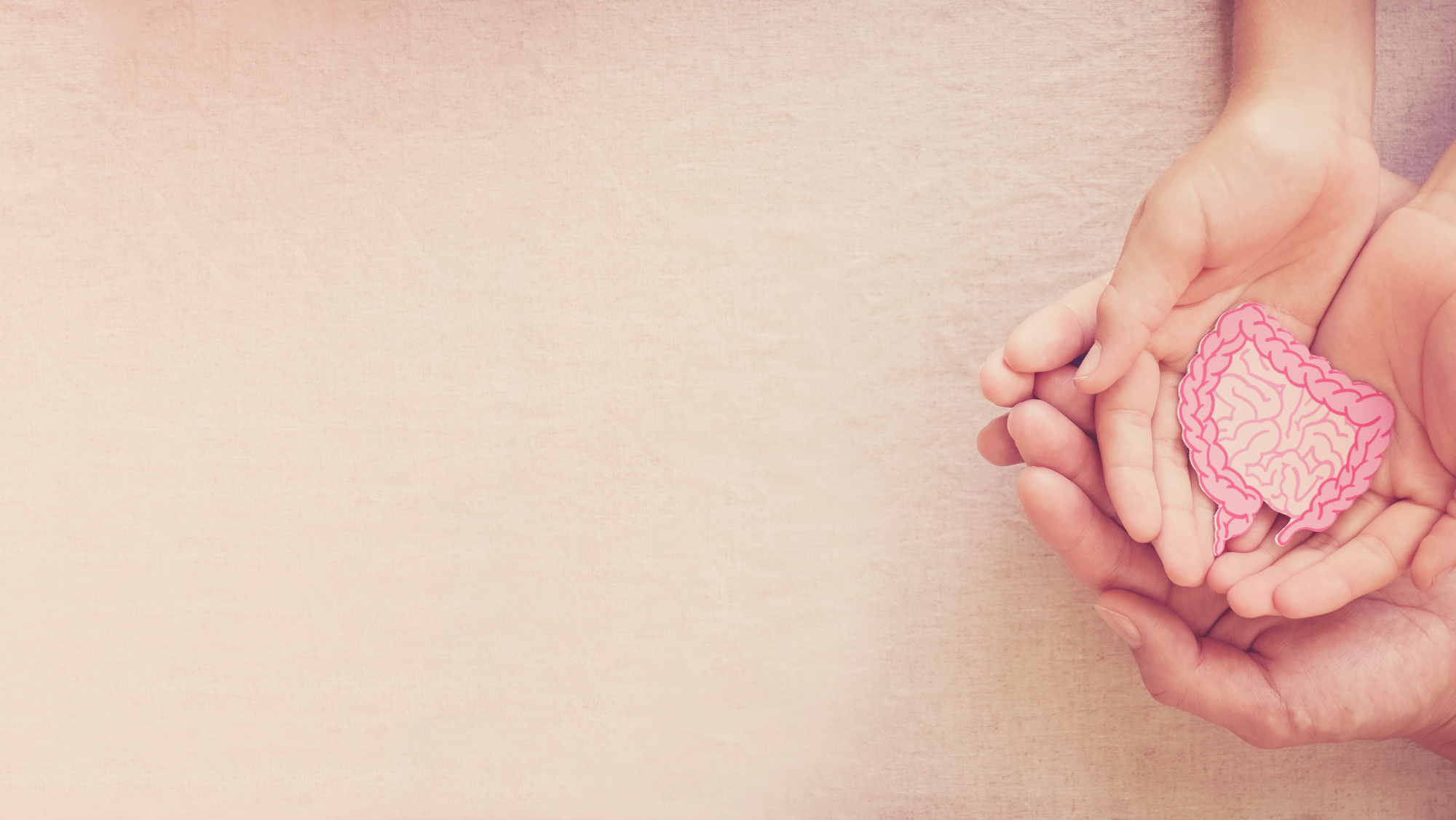 H. pylori: como a bactéria afeta seu cérebro e saúde mental?