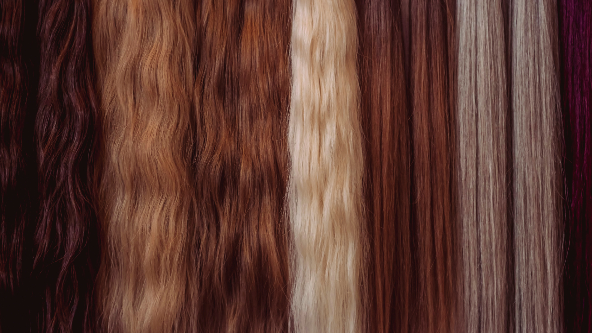 Alopecia: Por que seu cabelo cai e o que realmente funciona?