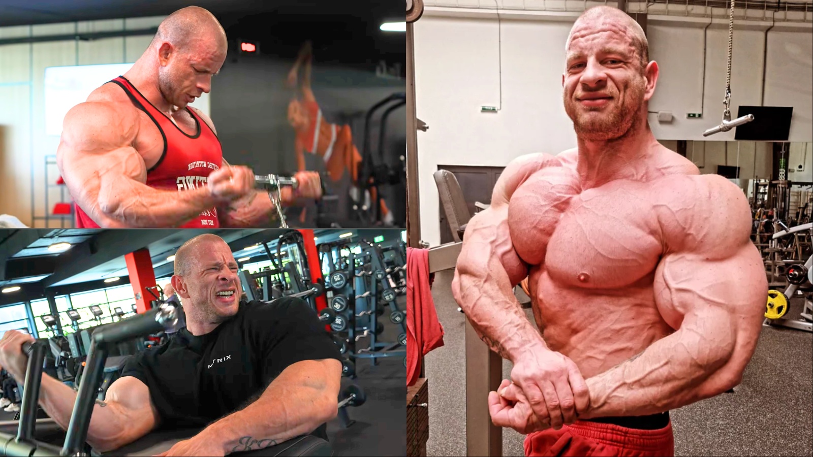 Michal Krizo: o treino de braços focado no New York Pro 2026