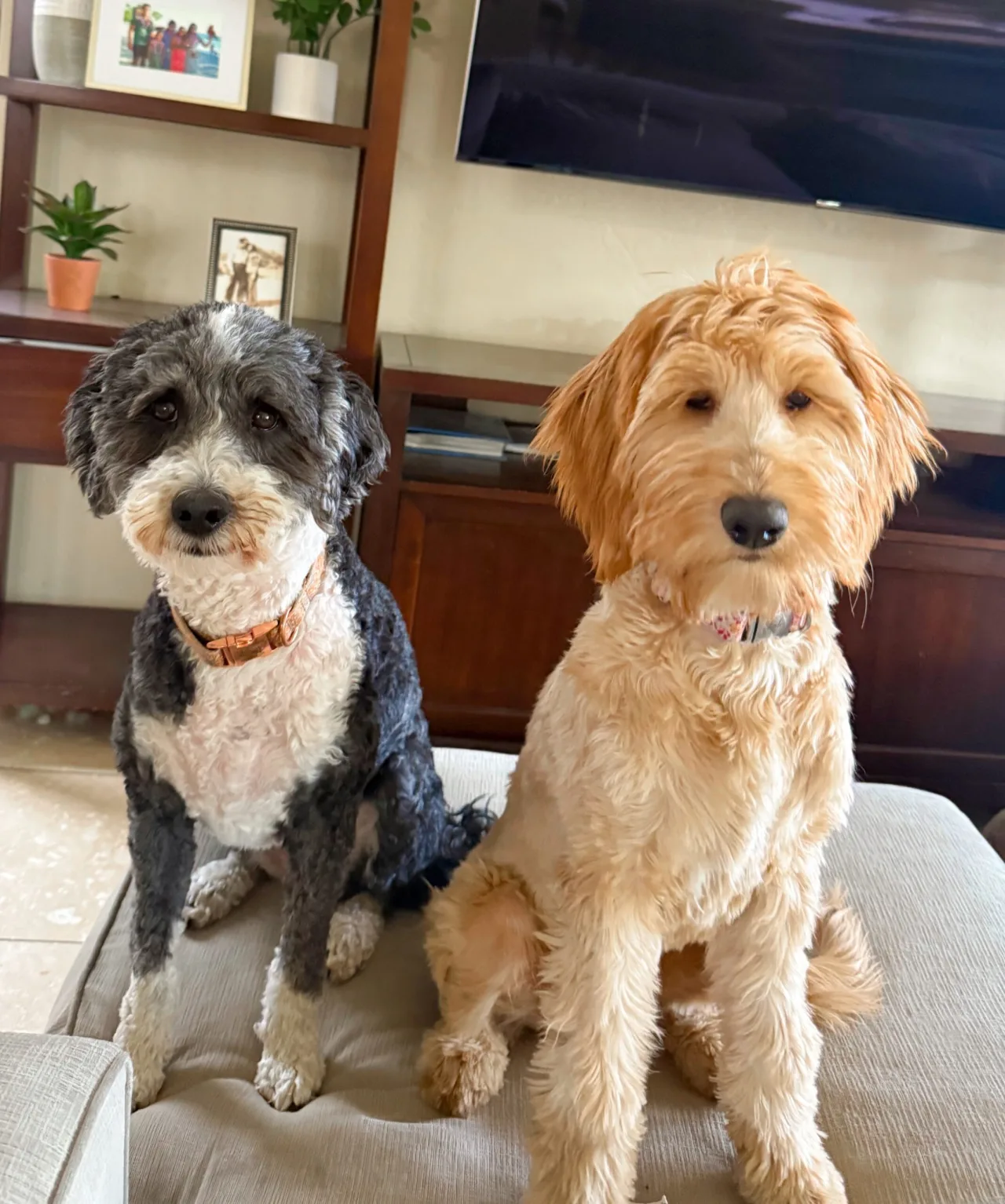 Dicas de Bem-Estar: Rotina, Skincare e Alimentação Saudável