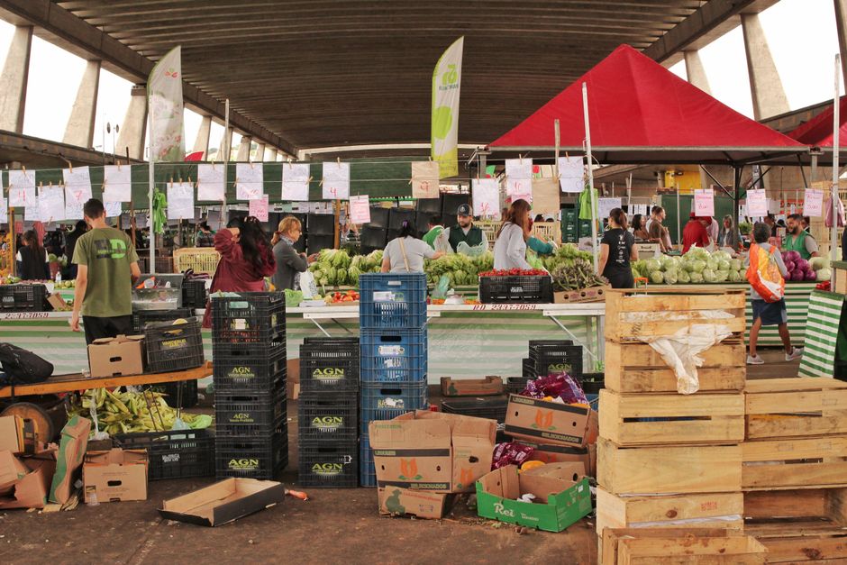 Massa fresca integral ao lado de um prato colorido com legumes grelhados, azeite e uma balança de porções