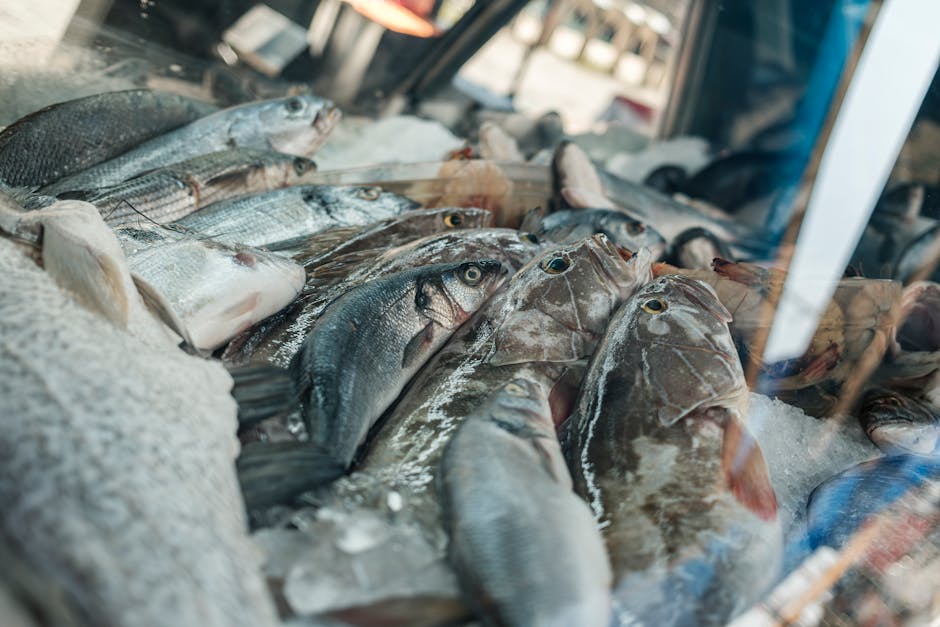 Melhores opções de filé de peixe congelado para sanduíches